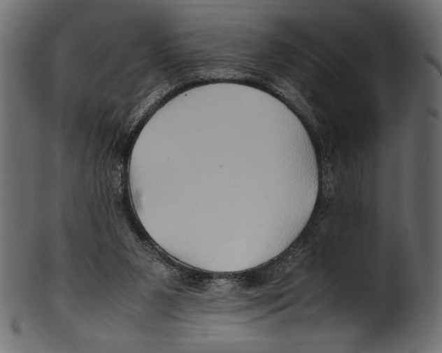 X0000100850111200807181105