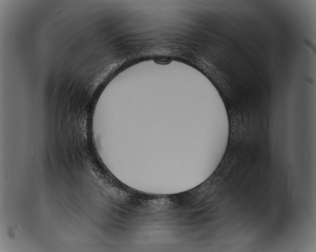 X0000100850112200807181105