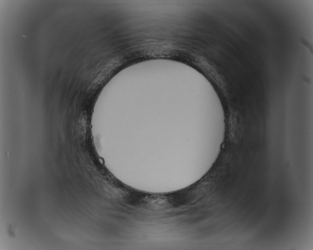 X0000100850113200807181105