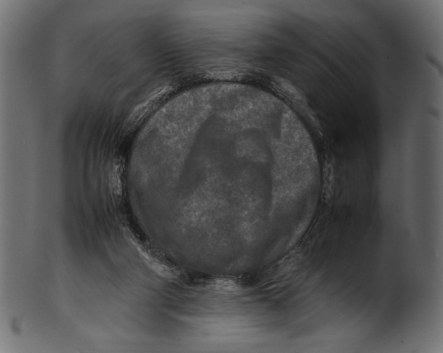 X0000100850114200807181105