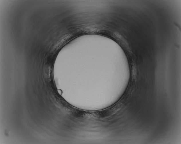 X0000100850115200807181105