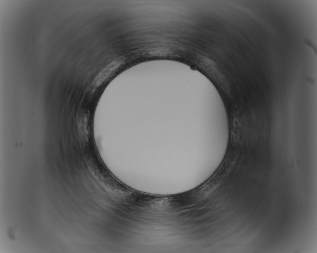X0000100850116200807181105