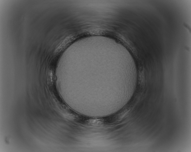 X0000100850117200807181105