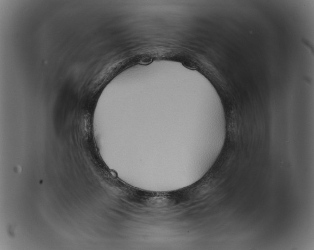 X0000100850119200807181105