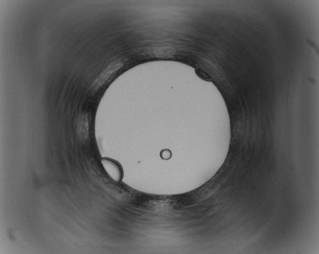 X0000100850120200807181105