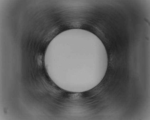 X0000100850122200807181105