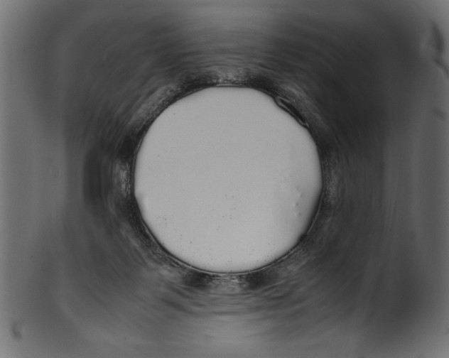 X0000100850123200807181105