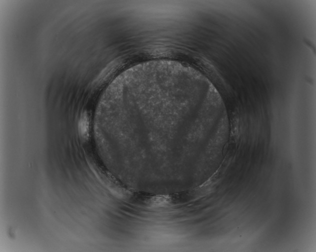 X0000100850124200807181105