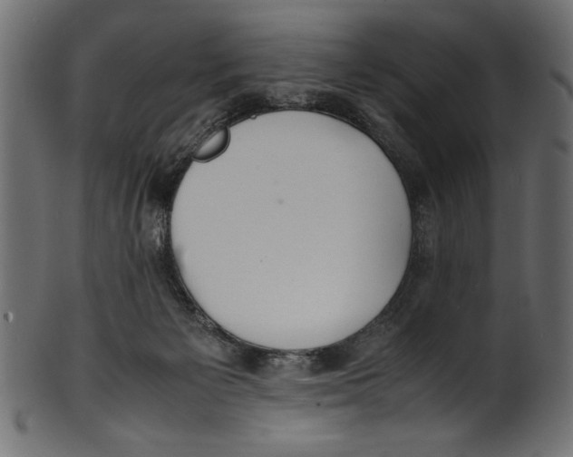 X0000100850125200807181105
