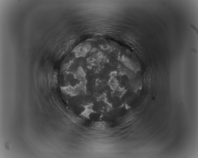 X0000100850127200807181105