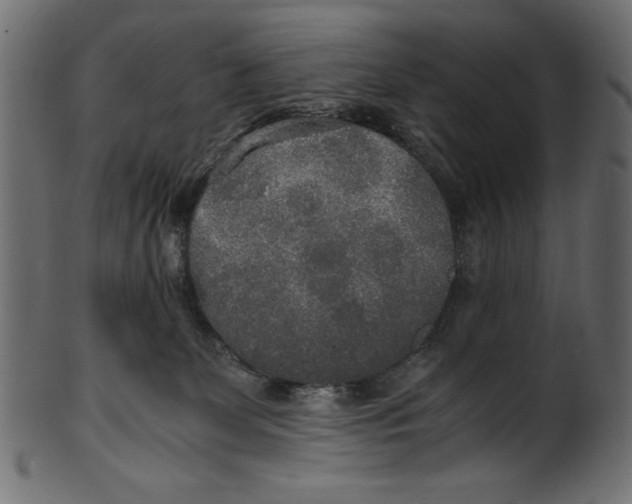 X0000100850131200807181105