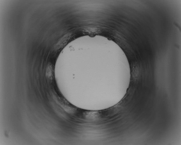 X0000100850132200807181105