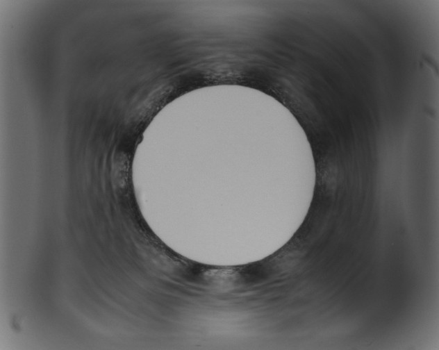 X0000100850133200807181105