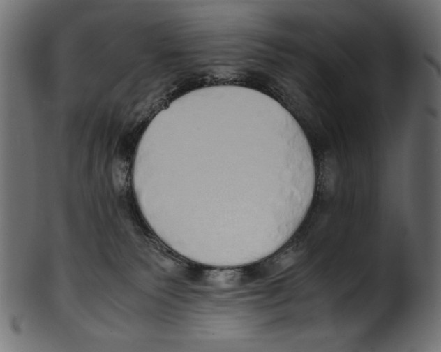X0000100850135200807181105
