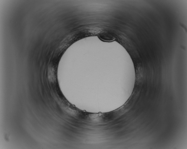 X0000100850136200807181105