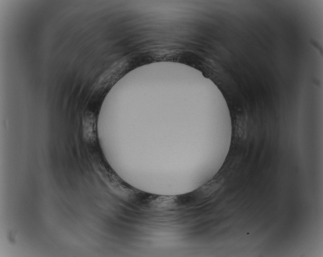 X0000100850138200807181105