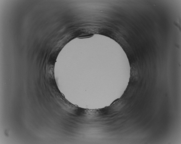 X0000100850141200807181104