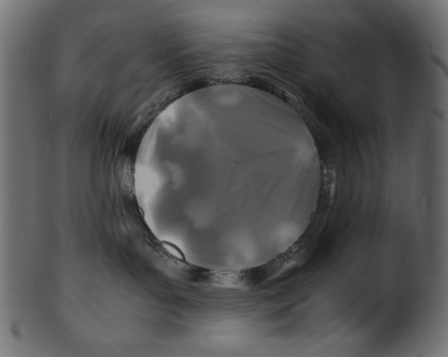 X0000100850143200807181104
