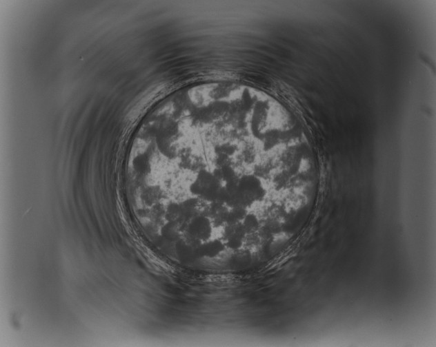 X0000100850145200807181104