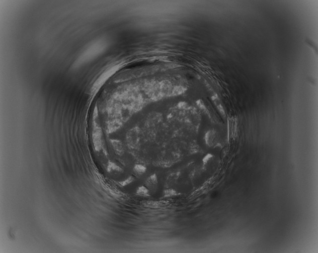 X0000100850147200807181104