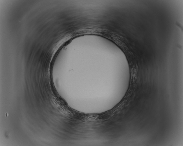 X0000100850148200807181104