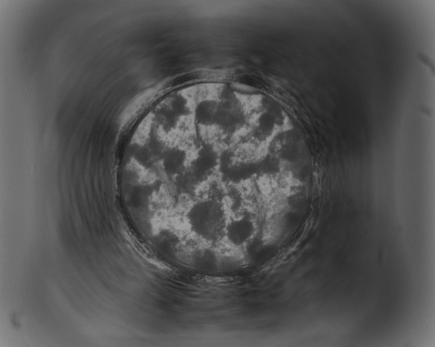 X0000100850149200807181104