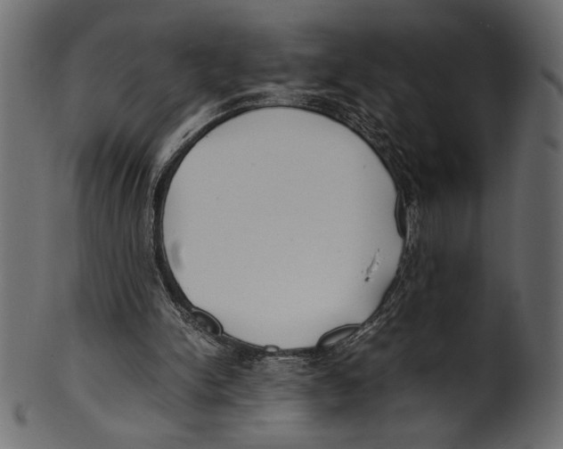 X0000100850150200807181104