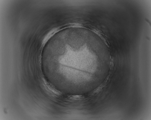 X0000100850151200807181104