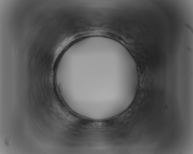 X0000100850152200807181104