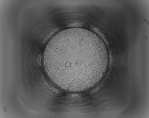 X0000100850153200807181104