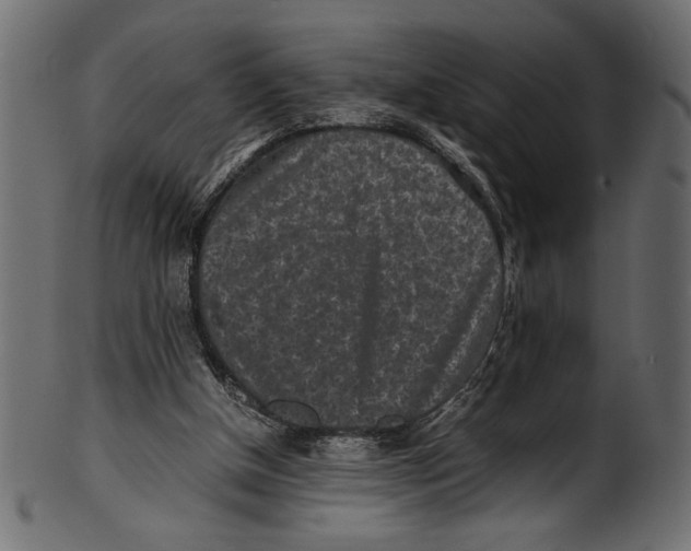 X0000100850154200807181104