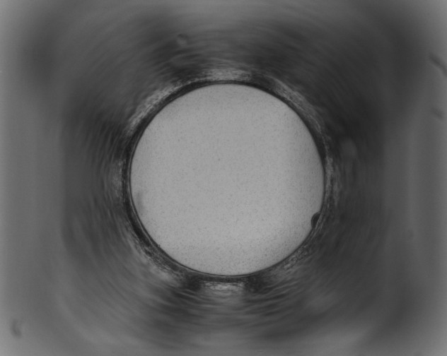 X0000100850155200807181104