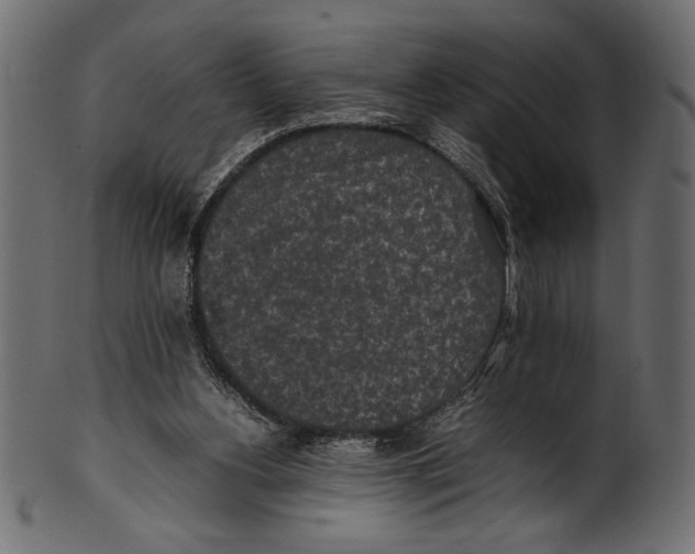 X0000100850156200807181104