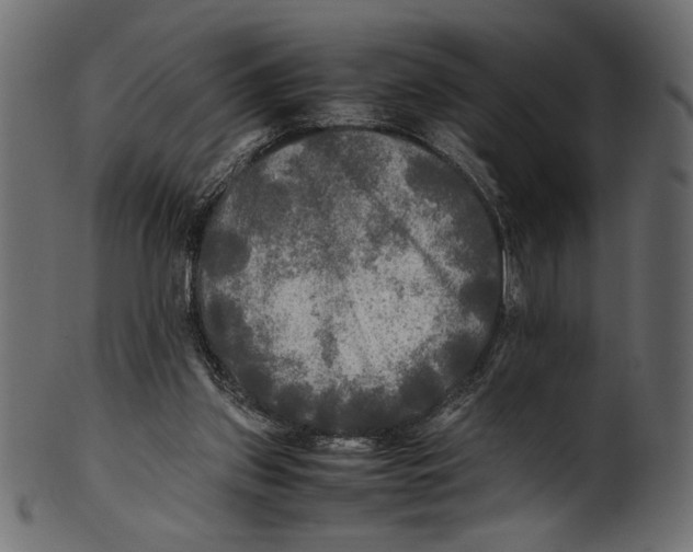 X0000100850157200807181104