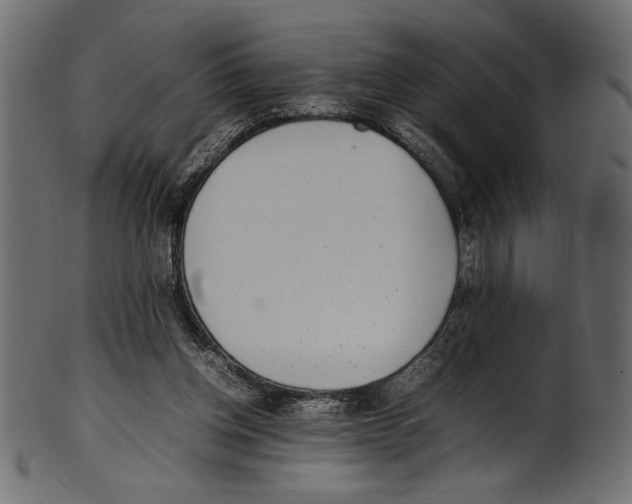 X0000100850158200807181104