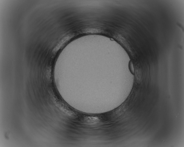 X0000100850159200807181104
