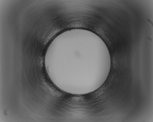 X0000100850160200807181104