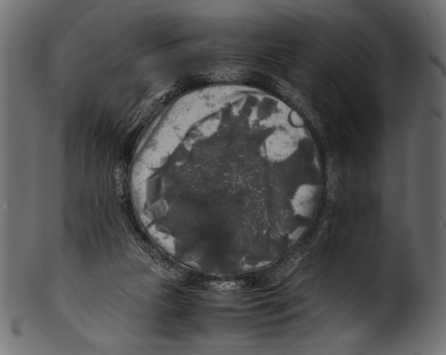 X0000100850161200807181104