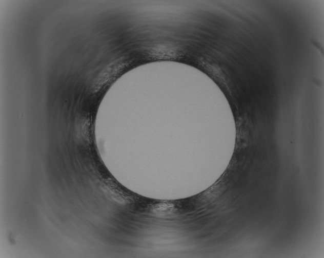 X0000100850162200807181104