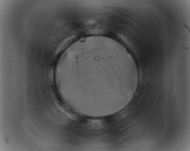 X0000100850163200807181104