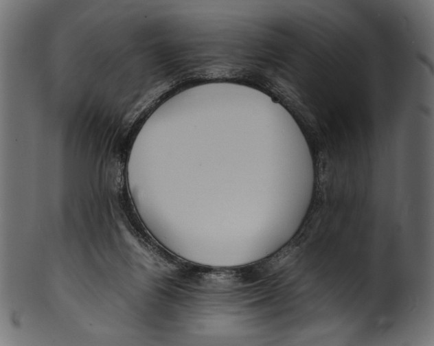X0000100850164200807181104
