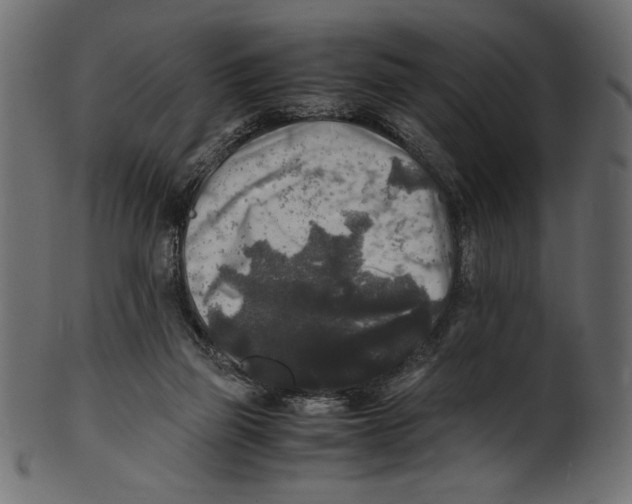 X0000100850165200807181104