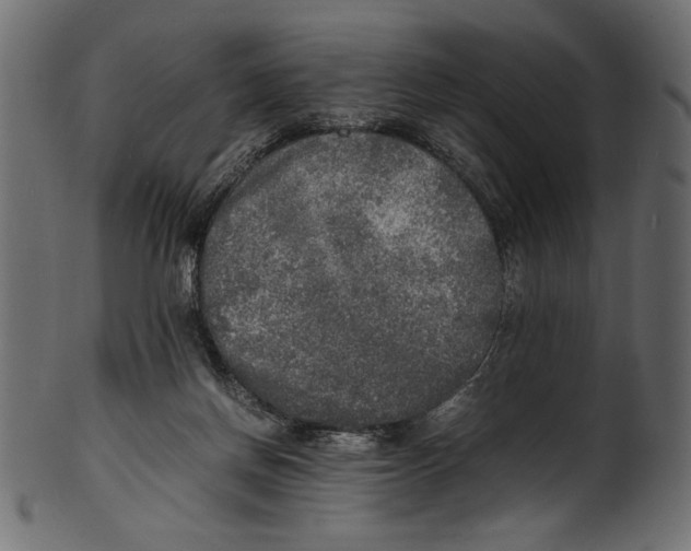 X0000100850166200807181104