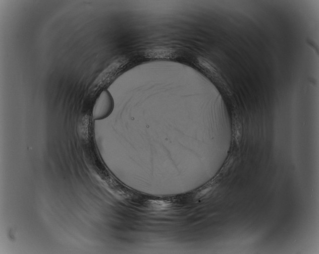 X0000100850167200807181104