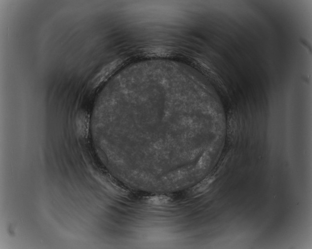 X0000100850168200807181104