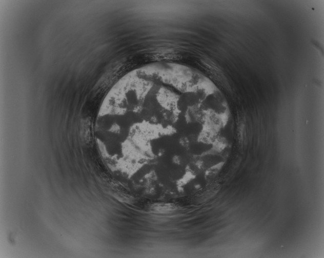 X0000100850169200807181104