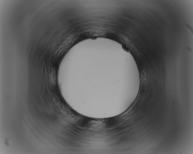 X0000100850170200807181104