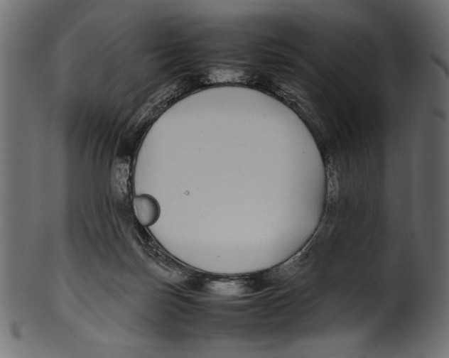 X0000100850171200807181104