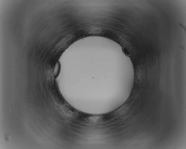 X0000100850172200807181104