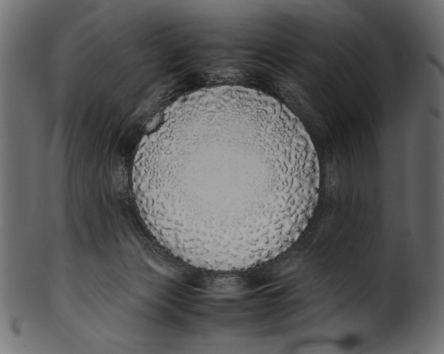 X0000100850173200807181104